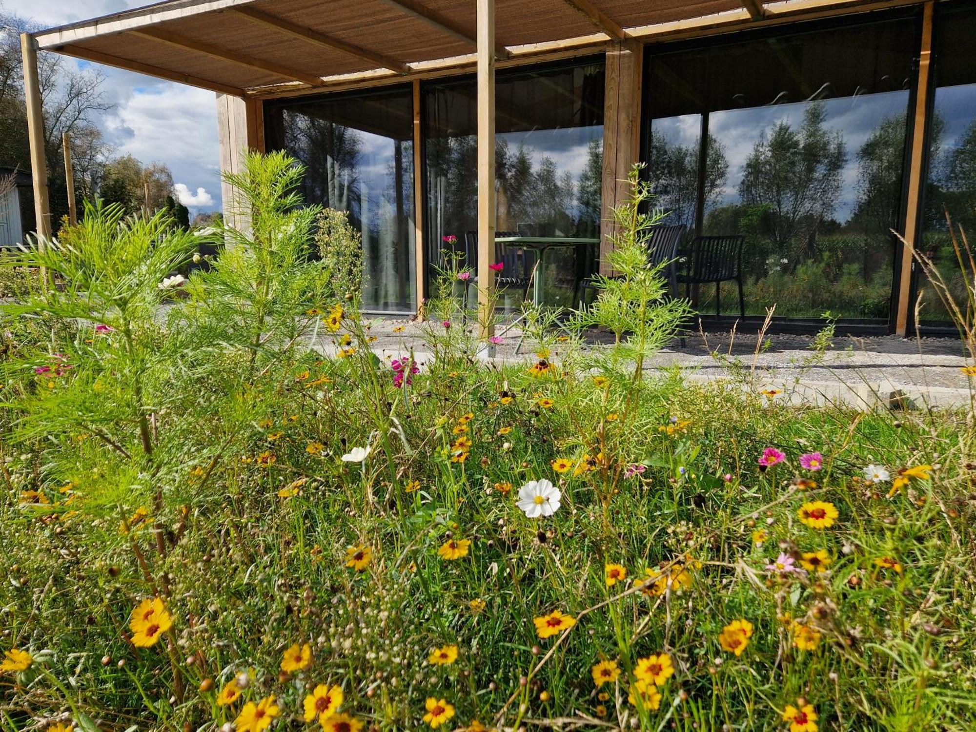 De Wilde Tuin - Tuinkamer Moergestel المظهر الخارجي الصورة
